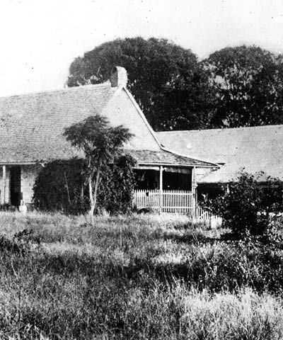 5050_Full_Width_Mobile_400w_x_480h_WOLSTON_HISTORY.jpg