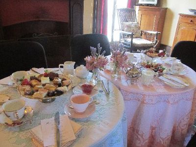 Carnival of Flowers Tour & High Tea